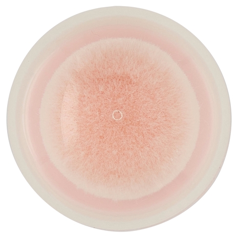 Maybelline New York Instant Perfector 4-in-1 Glow 0.5 Fair Light Cool 20 ml